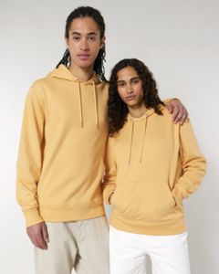 Cruiser 2.0 Golden Horizon