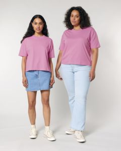 Stella Nova Bubblegum
